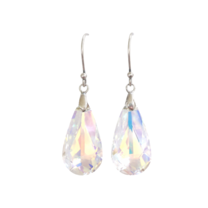 Selene Crystal Earrings in Silver